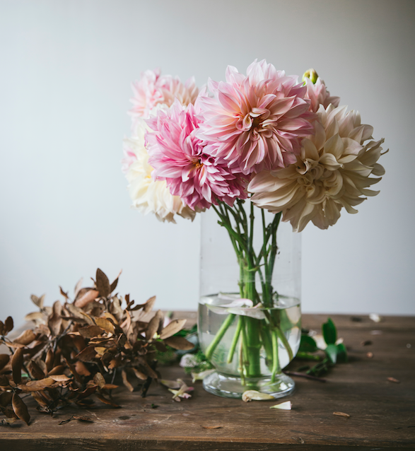 Flower Care