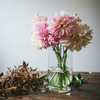 Flower Care