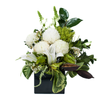 Flower Box / Vase
